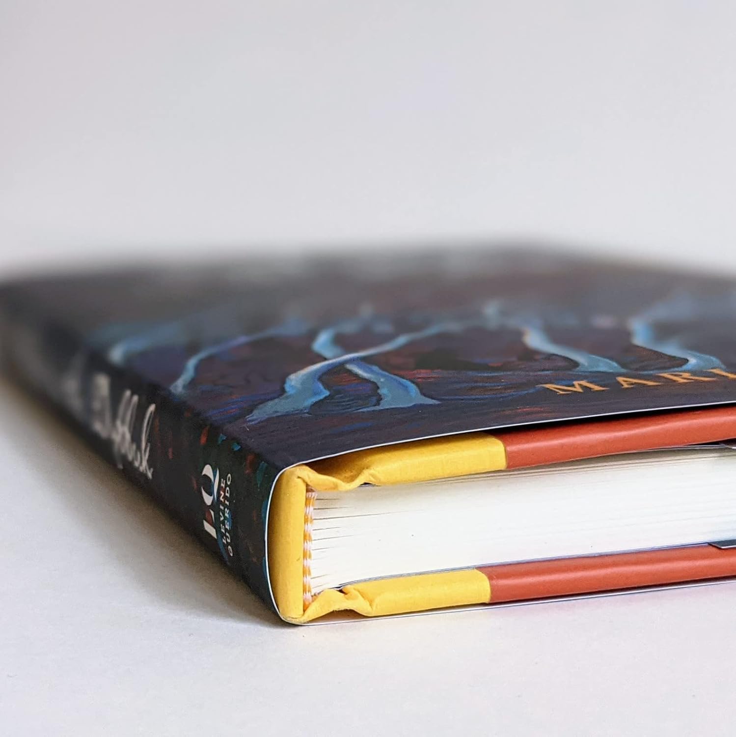 Aviva vs. the Dybbuk by Mari Lowe