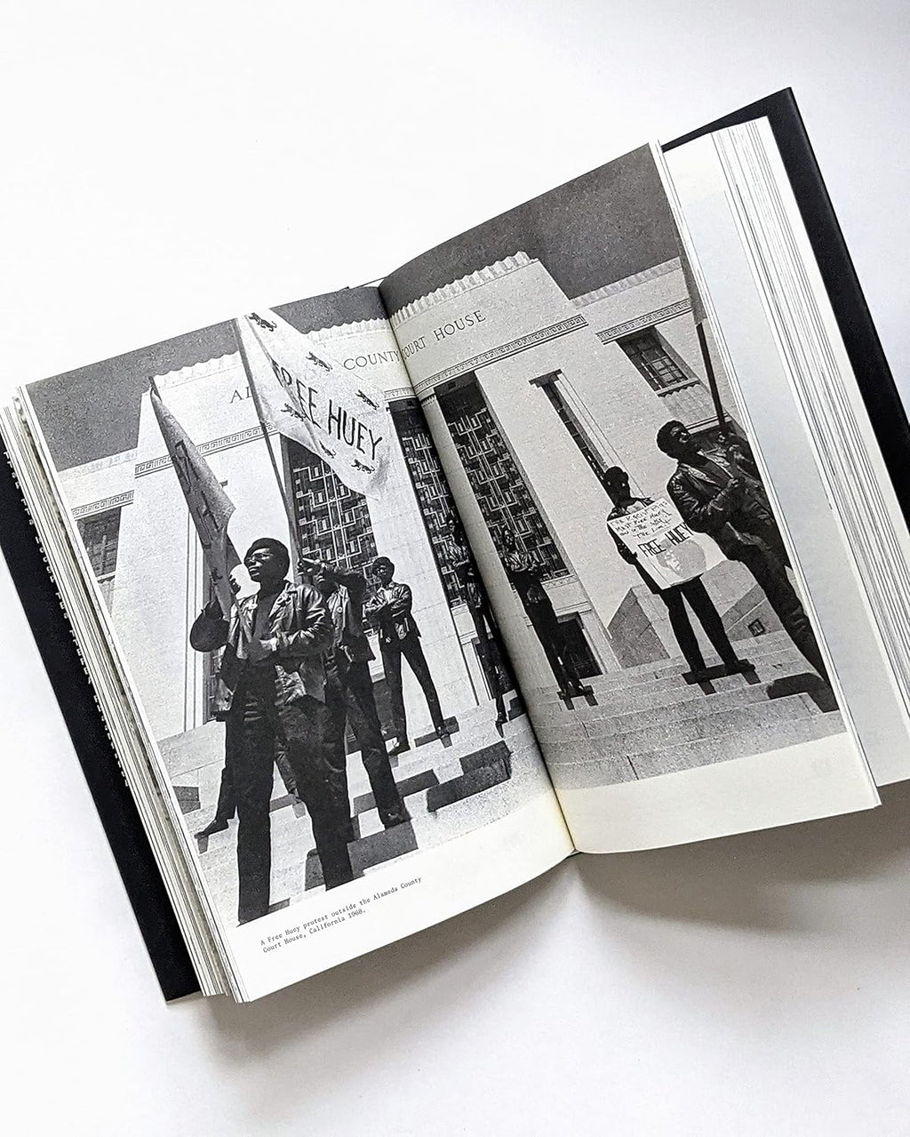 Freedom! The Story of the Black Panther Party