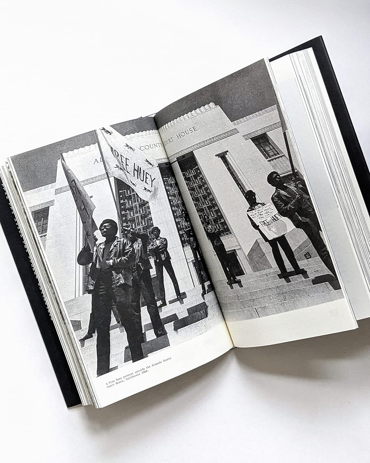 Freedom! The Story of the Black Panther Party