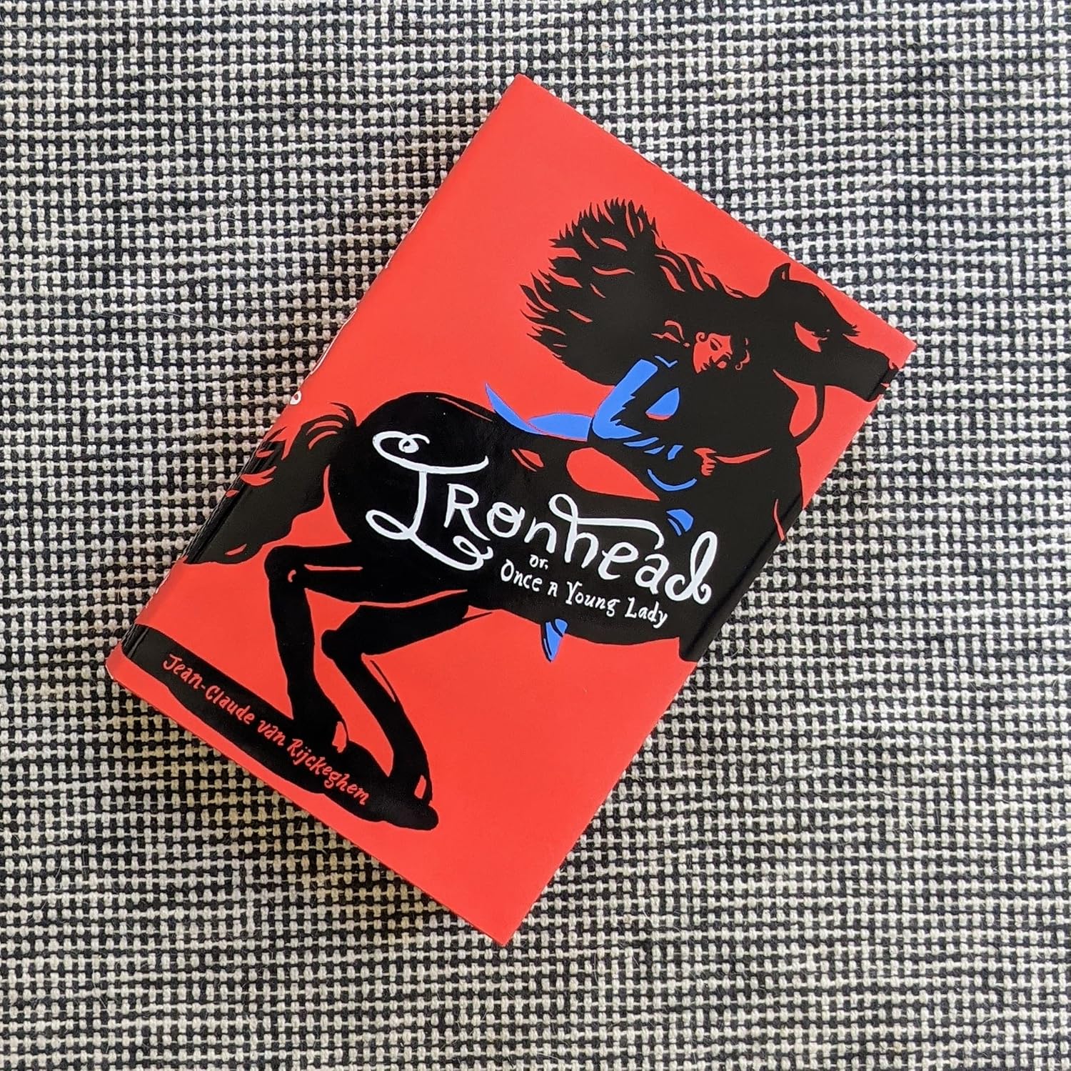 Ironhead, or, Once a Young Lady