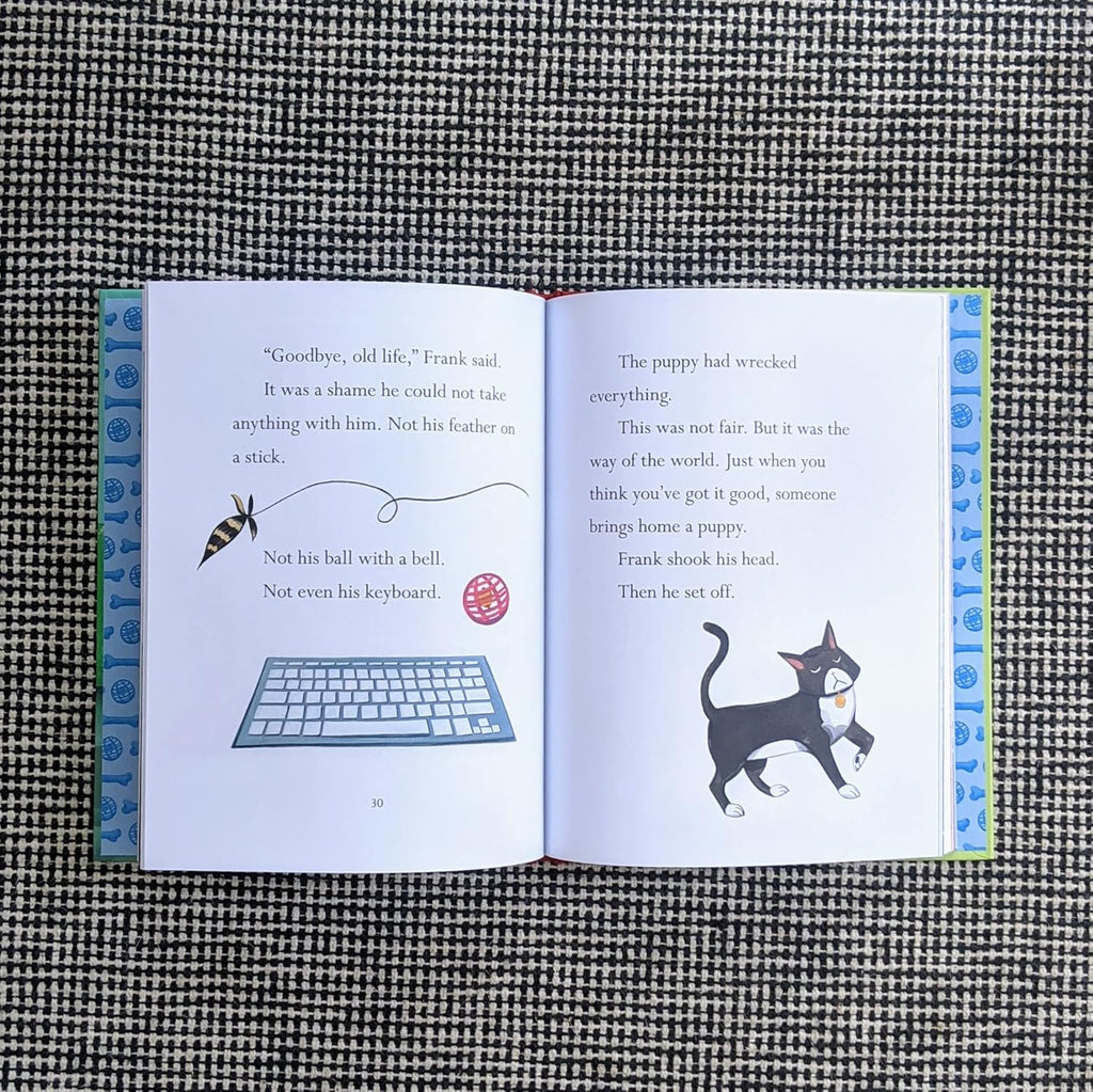 Frank and the Bad Surprise by Martha Brockenbrough