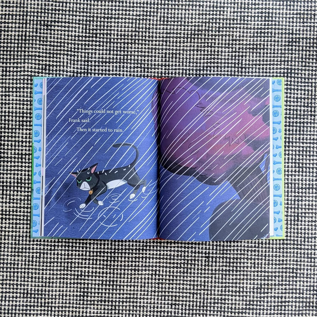 Frank and the Bad Surprise by Martha Brockenbrough