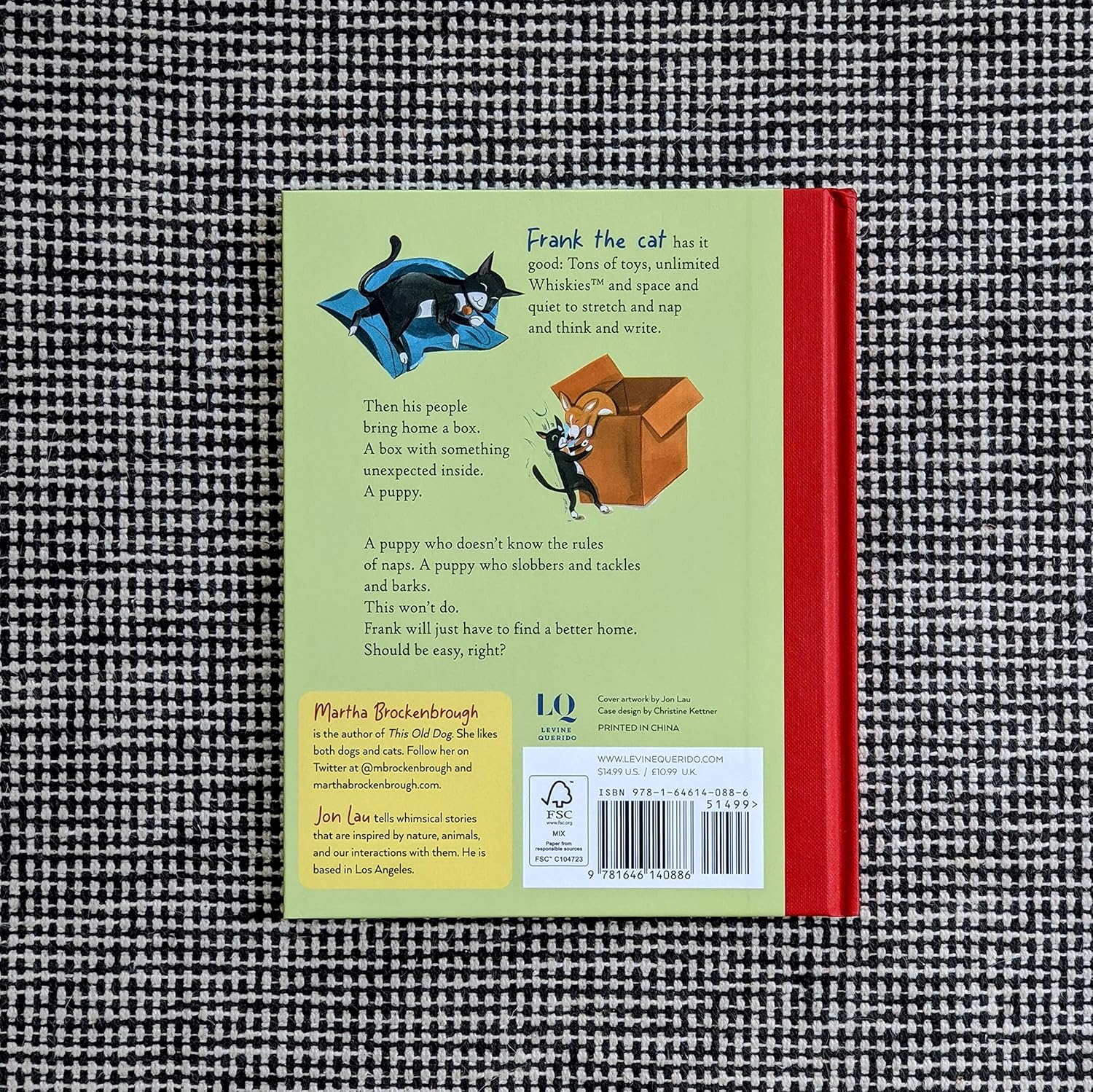 Frank and the Bad Surprise by Martha Brockenbrough