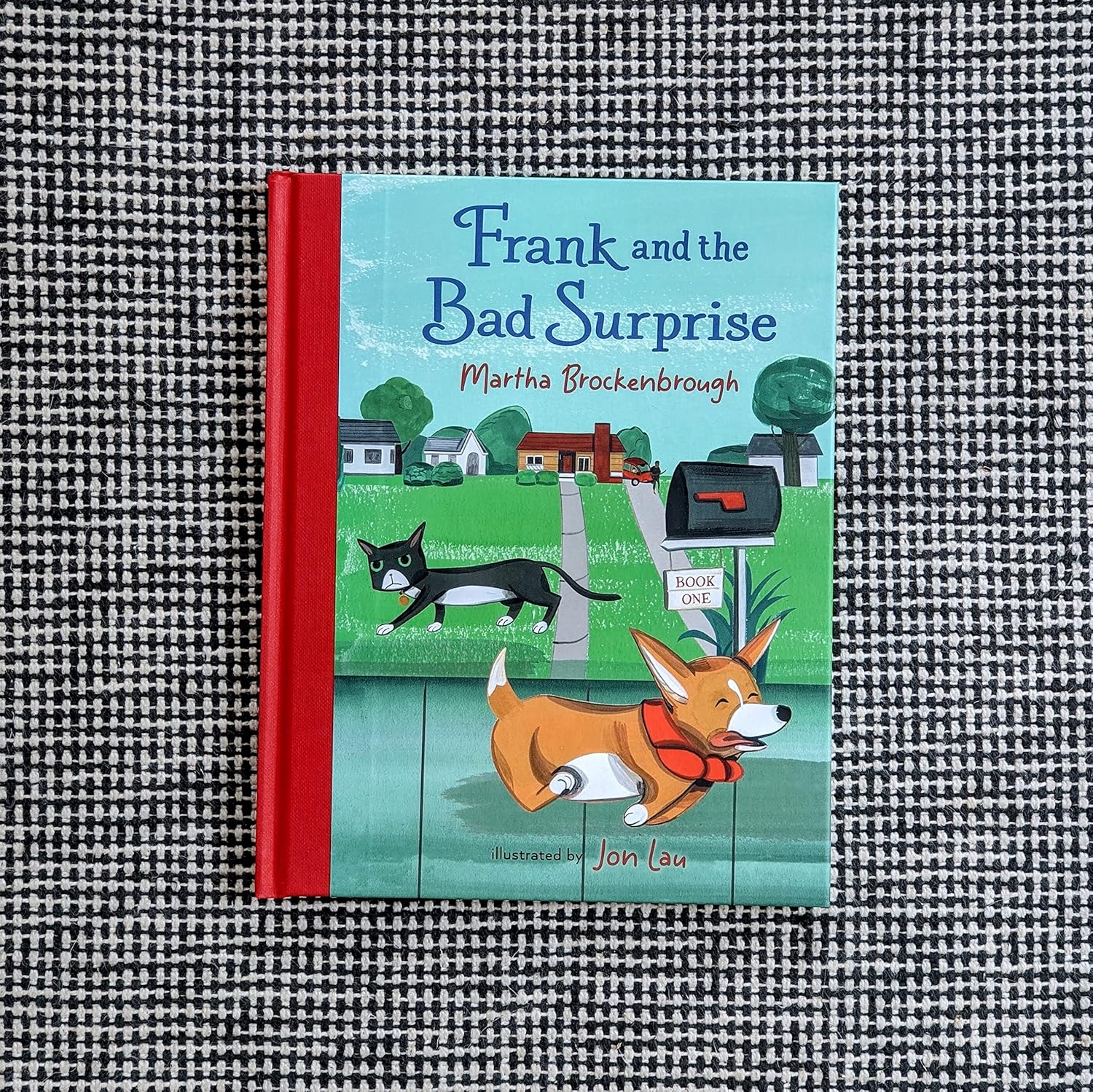 Frank and the Bad Surprise by Martha Brockenbrough