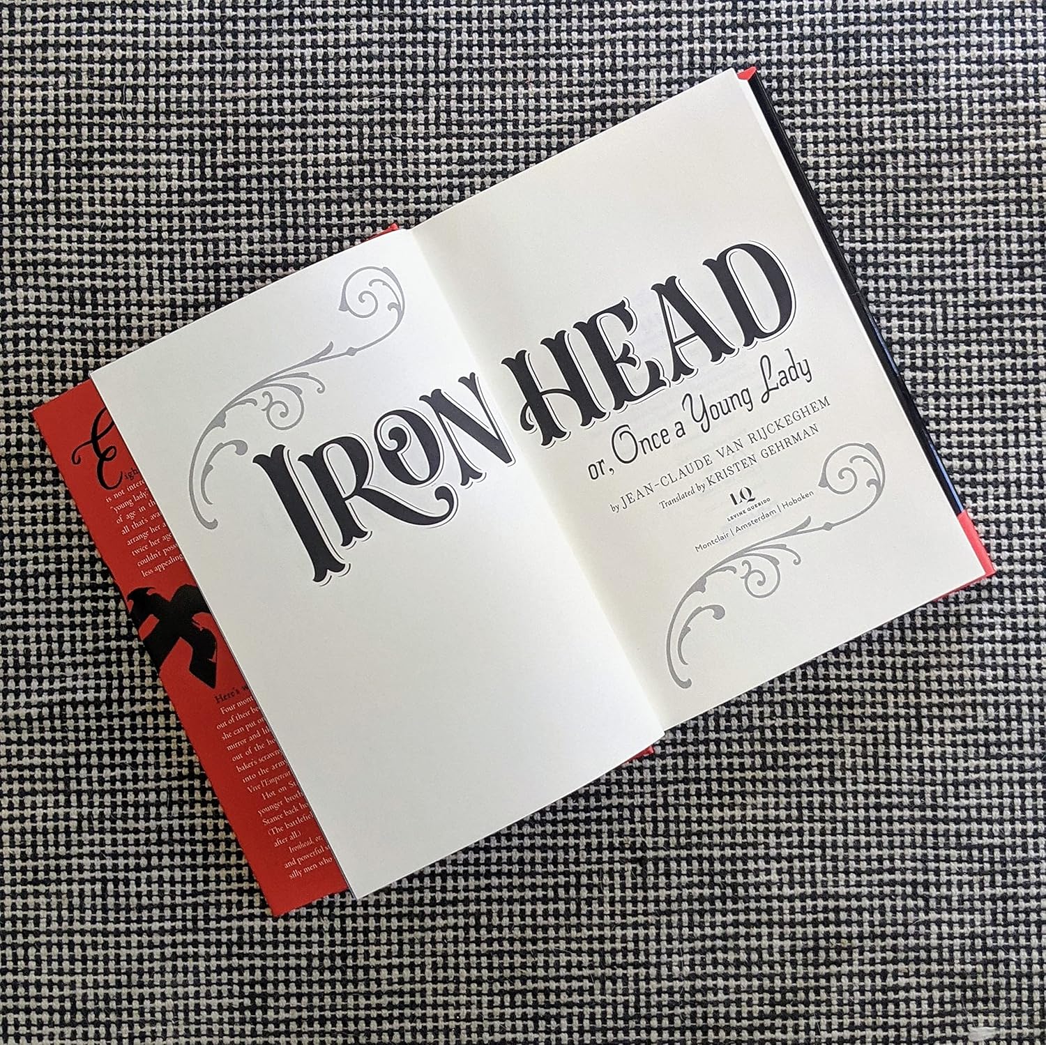 Ironhead, or, Once a Young Lady