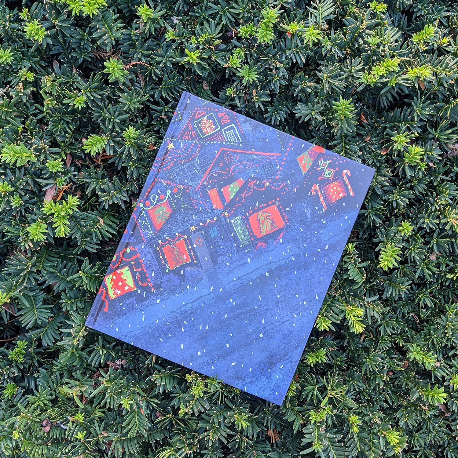 Red and Green and Blue and White by Lee Wind, illustrated by Paul Zelinsky