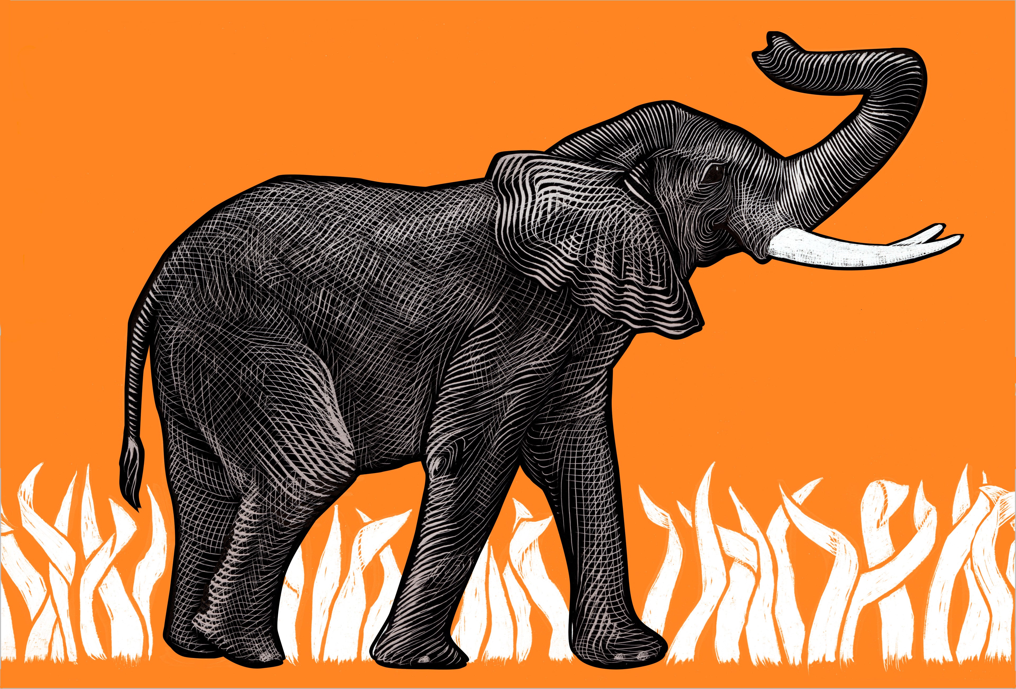 A Is for Bee by Ellen Heck