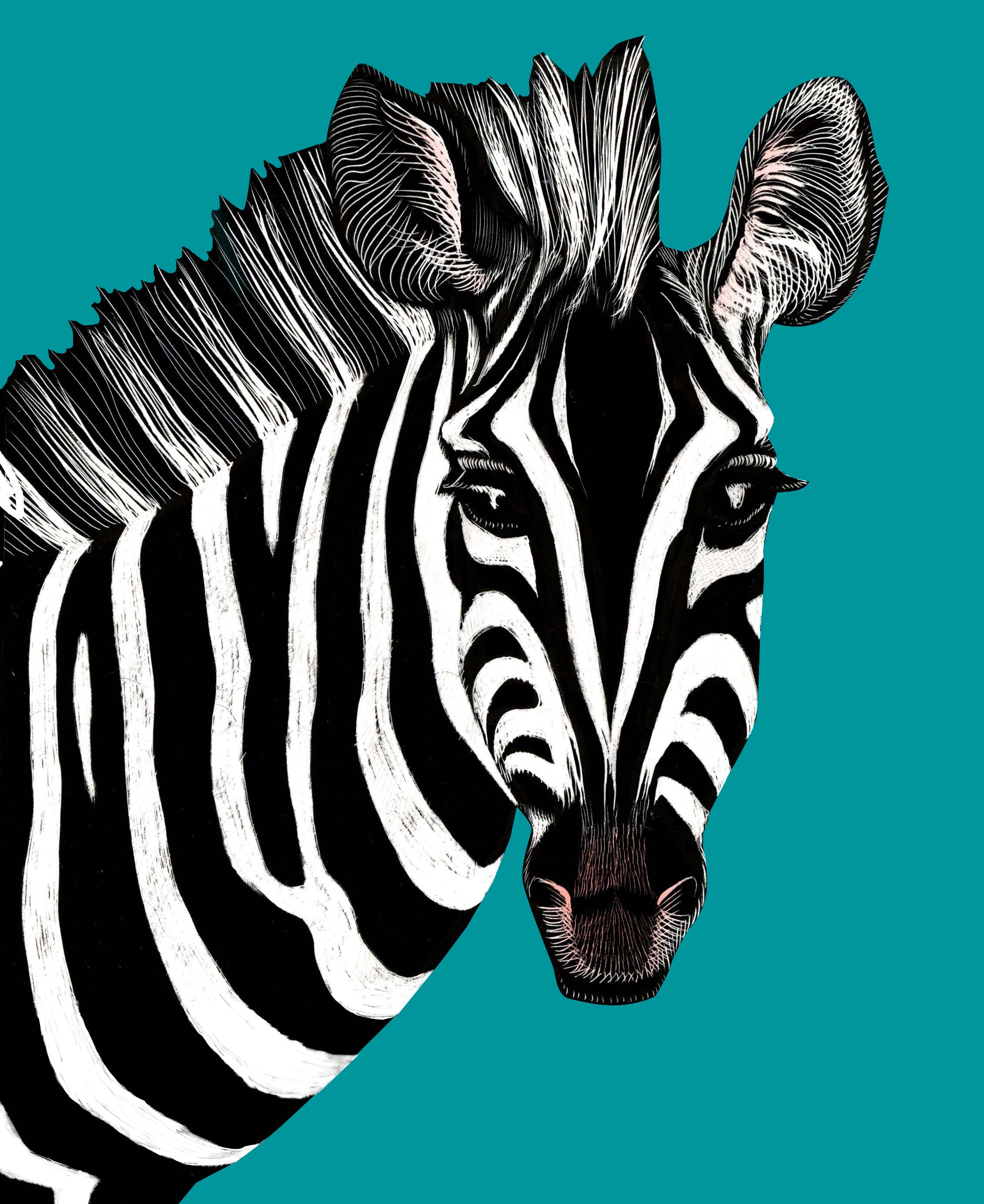 A Is for Bee by Ellen Heck