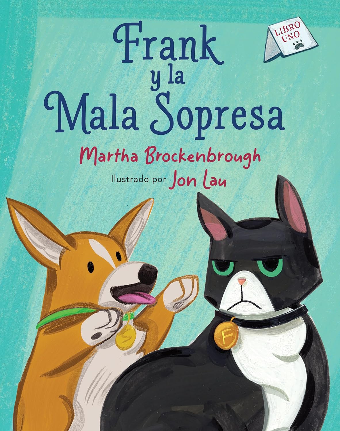Frank y la mala sopresa (libro 1)